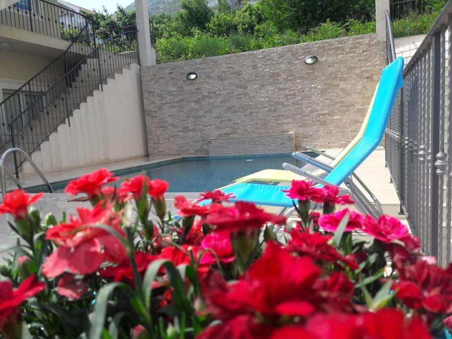 2Br Apartment With Pool Kotor Buitenkant foto